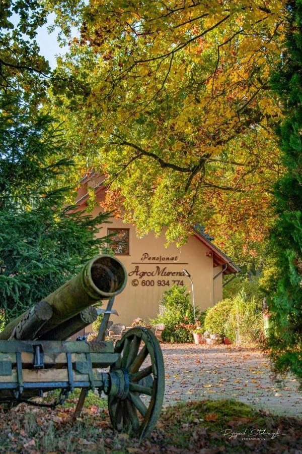 Agromurena Gryfow Slaski Exterior photo
